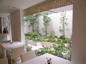 �ᥤ��쥹�ȥ��