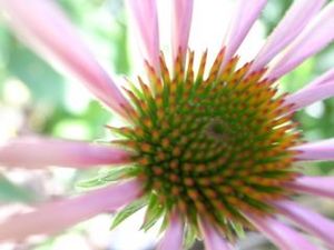 �����ߥ塼������2