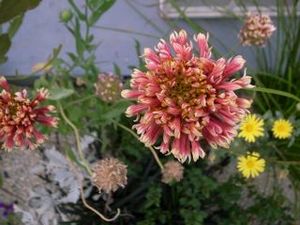 !cid_A3E85750-C47E-4CEE-ACDE-A65F75AEF9C7