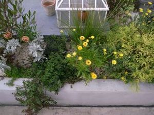 !cid_2B36EF64-40A5-4B07-9D3F-7EC49CE09097