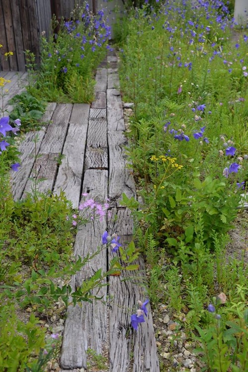 13728936_863693210429543_3115594496862947159_n[1]