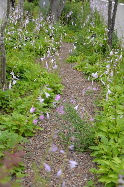 13709926_863693730429491_7899579728936885796_n[1]