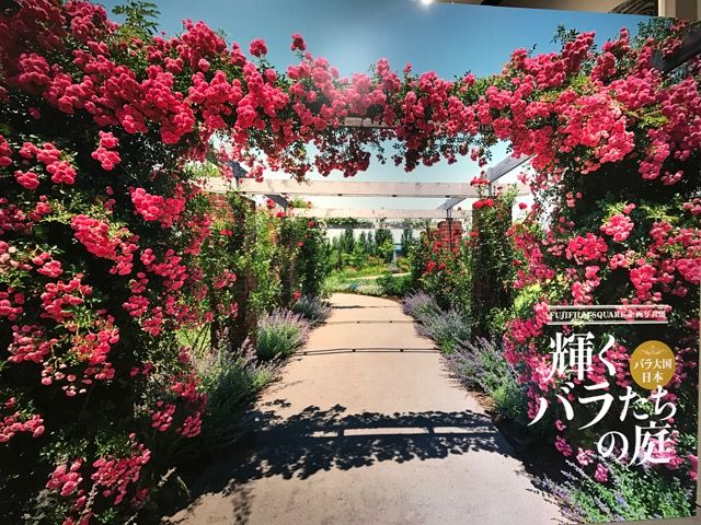 輝くバラたちの庭 展 吉谷桂子のガーデニングブログ