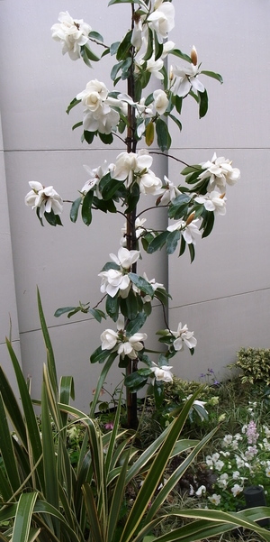 R0013737