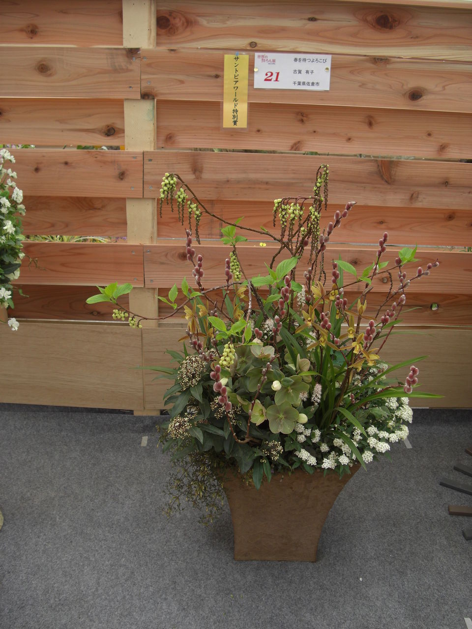 寄せ植え コンテストあれから一ヶ月弱 吉谷桂子のガーデニングブログ 寄せ植え コンテストあれから一ヶ月弱 吉谷桂子のガーデニングブログ