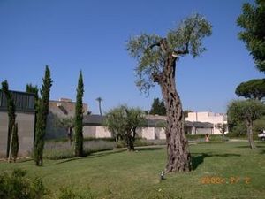 ���㥬�������Ѵ۳���