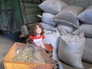 ���꤬�Ȥ�