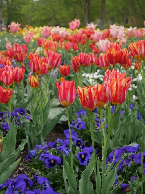 P1070921