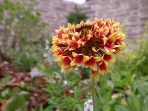 !cid_619739B0-F532-4ED8-9B4F-821D81066839