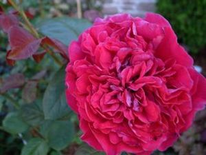 !cid_43FAAFFE-8C32-4776-87C3-EDC445BC72AE