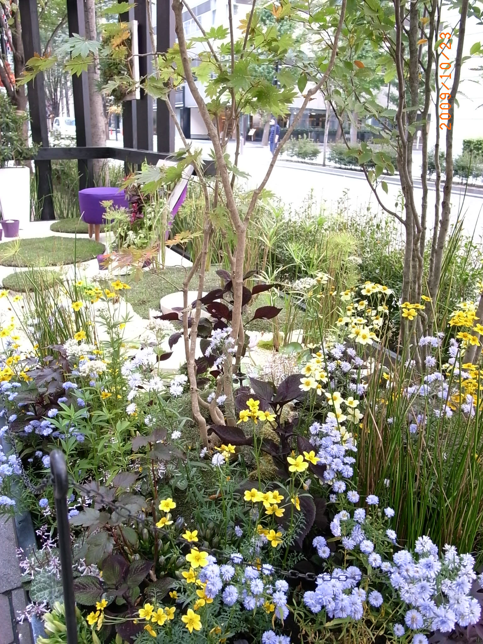 丸の内仲通りガーデニングショウ09 吉谷桂子のガーデニングブログ