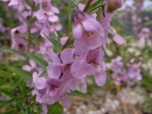 !cid_D572514A-5063-4D75-B3D5-3FB7CAB47ED7