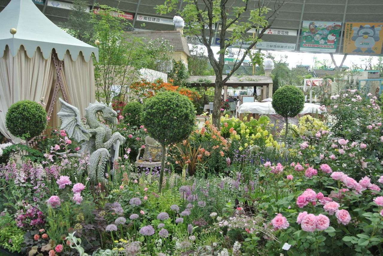 国バラ 本日で終了 吉谷桂子のガーデニングブログ 国バラ 本日で終了 吉谷桂子のガーデニングブログ