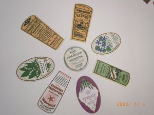 090710�����ʪ��