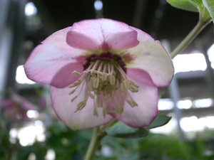 R0012626