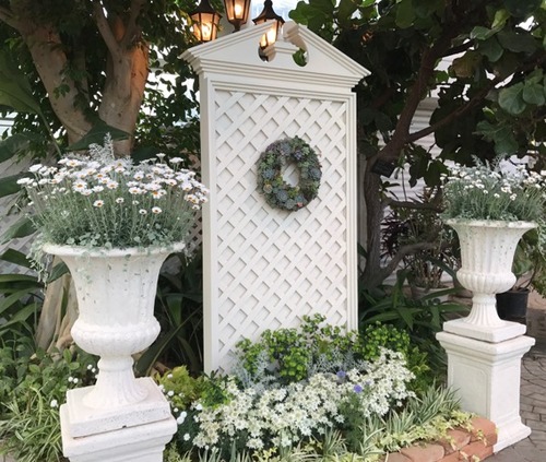 IMG_6486