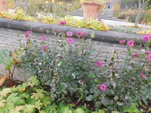 コピー 〜 画像 10月17 003