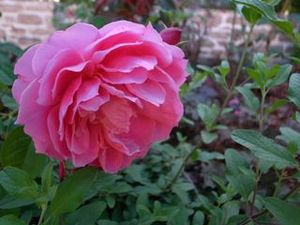 !cid_B1336969-1D43-4D4B-A352-C24FCECBB1D5