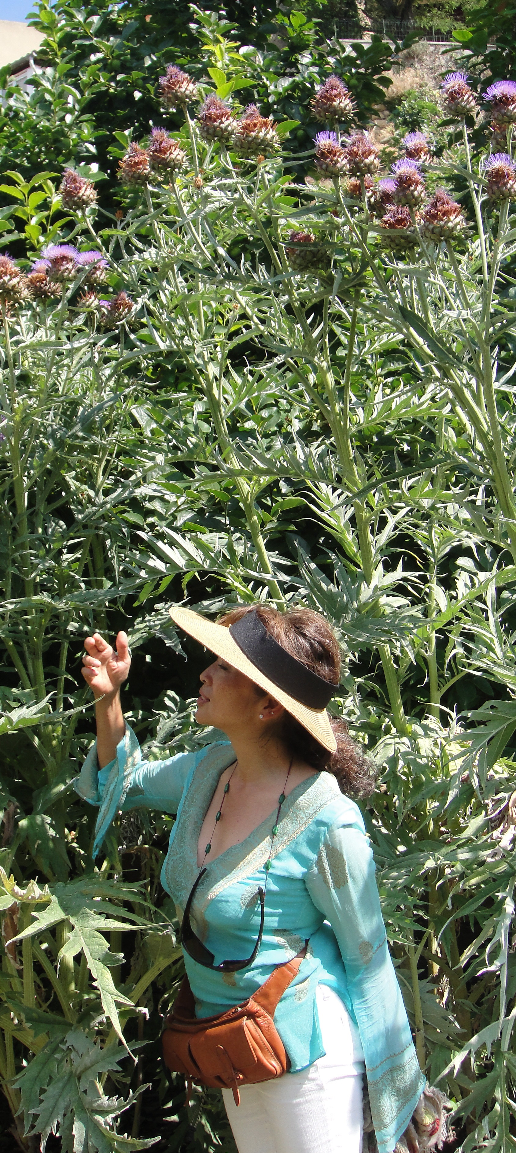 身繕いー10 年初夏編 吉谷桂子のガーデニングブログ