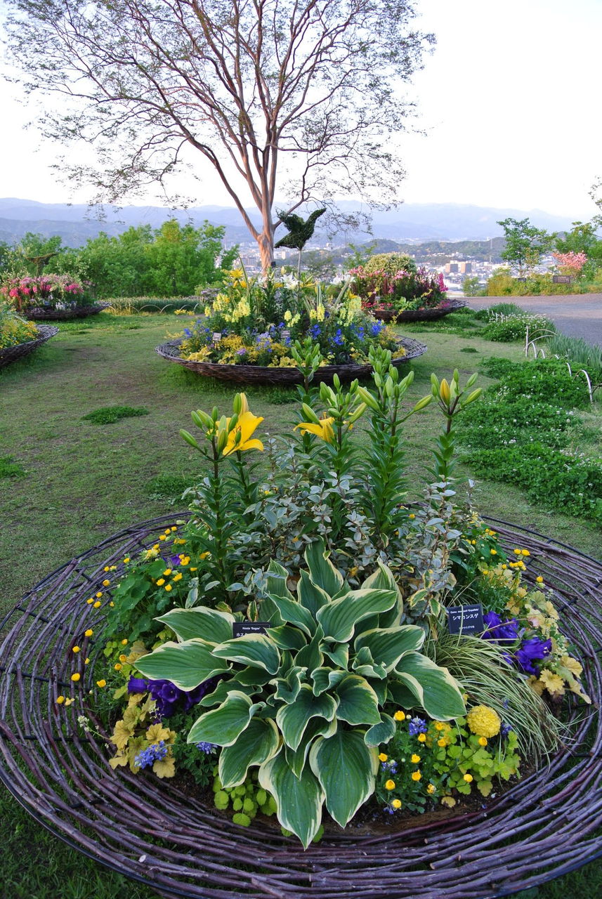 牧野植物園 花皿鉢 総集編 : 吉谷桂子のガーデニングブログ