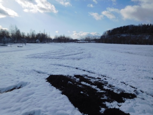 水仙の場所 20日朝には雪が DSCN9030 -
