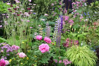 �Х饷�硼�ǽ���_�䥰��ޥ���