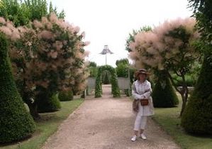 ���⡼���ĥ꡼