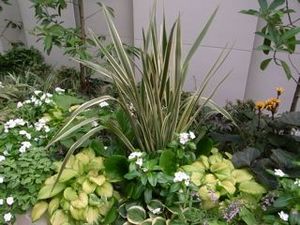 !cid_23CE1B01-588A-4F95-9F12-9E0EB771A3BC