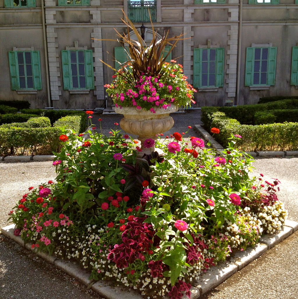 星の王子さまミュージアム ジニアとバラと : 吉谷桂子のガーデニングブログ