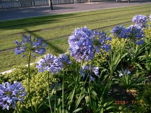 �����ѥ󥵥�