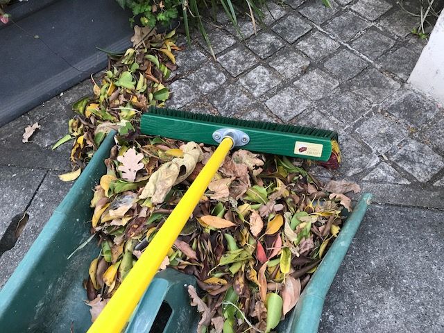 落ち葉掃除　清掃　グラウンド整地？　マルチスイーパー 落ち葉掃除清掃グラウンド整地？マルチスイーパー