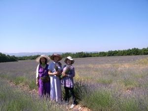 ���ο��ϥѥ��ƥ�