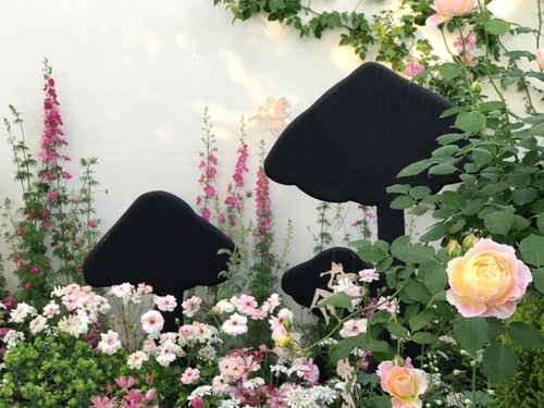 IMG_6463