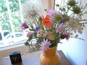 ���ޤ��ޤʽɺ���