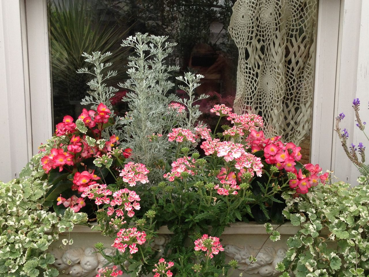 花の季節は超多忙 : 吉谷桂子のガーデニングブログ