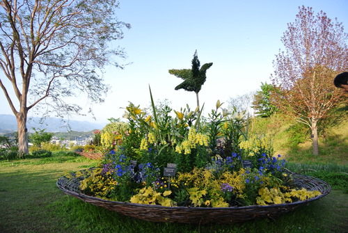 DSC_1505