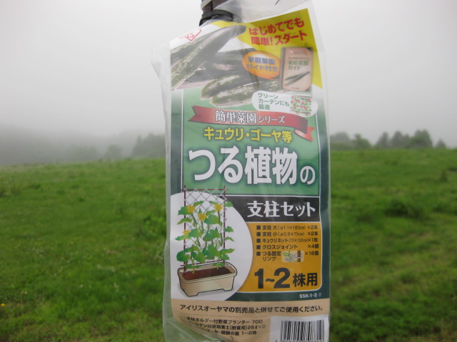 アサガオ支柱立てました なんちゃってガーデナー みちのく のプランター菜園奮闘記