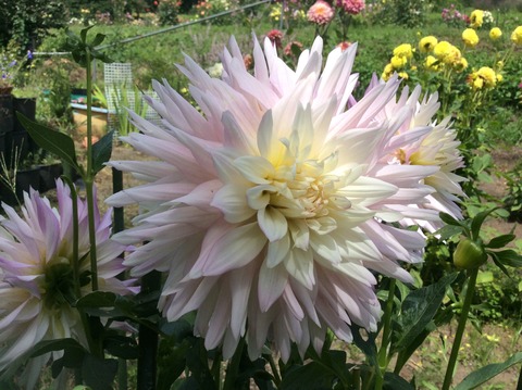 AC7A9BCF-4074-40AF-A8A8-B3145A72CAD1