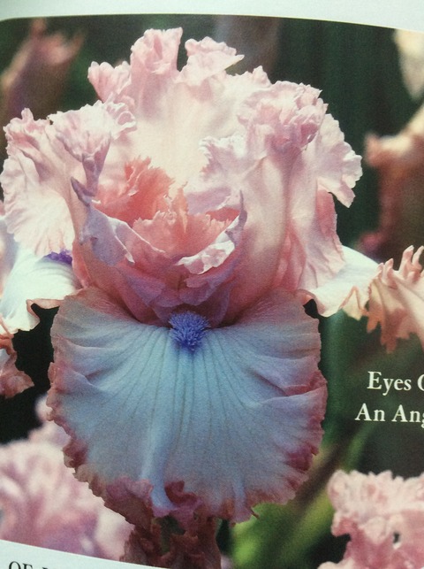 7F411CCF-4E60-465F-8B51-C7231FCE30B7