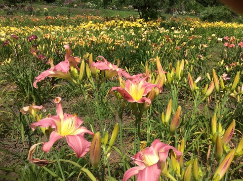 753C965D-D1AE-4819-A2AB-1E14A5217954