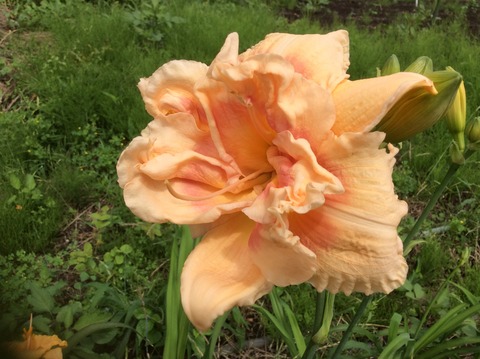 0C840A81-5CE6-43C4-AABC-DB4405E349B2