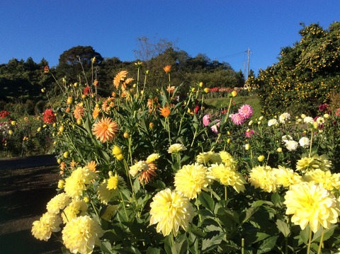 81A0B67F-B898-4451-88E7-04AA45A49DB0