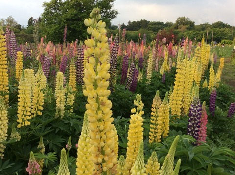 2BD2121A-0CD0-4D00-9D5A-D011E637BD70