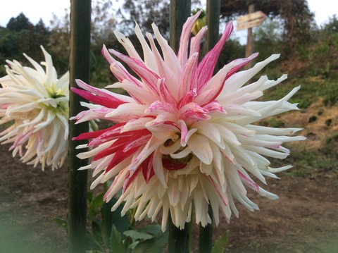 9C417192-EF08-4450-8A4F-534653201AB1