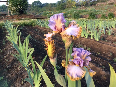 AA6E2D25-F403-4130-8B3D-3B4BBDECA1FE