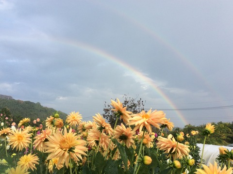 AFB9EC04-86AA-4CD6-AD4E-A2BDA272A84A