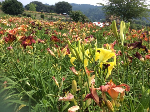 DBCED564-EC23-455D-A5ED-B80FB6561C56