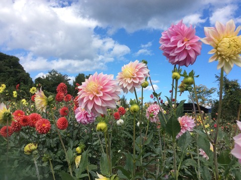 AB2CA4D0-000C-4DB7-B0E7-4947A4297C79