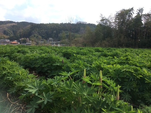 48E48132-FC34-4937-A7CD-EB605E6ABE7C