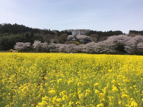 164CD478-BFC7-4EDB-9466-27D14F0E357C